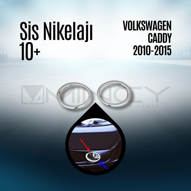 Caddy Sis Nikelajı 2010